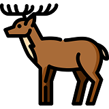 Марал