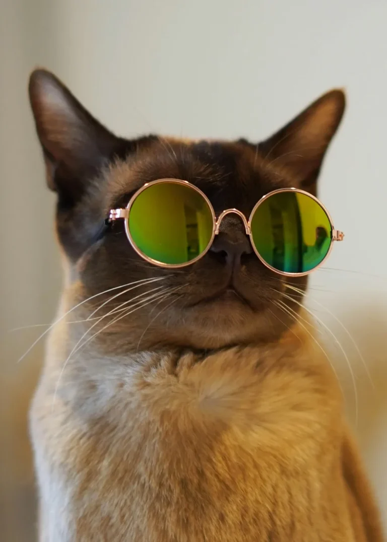 studio-shephrd-vqsumebqpum-unsplash
